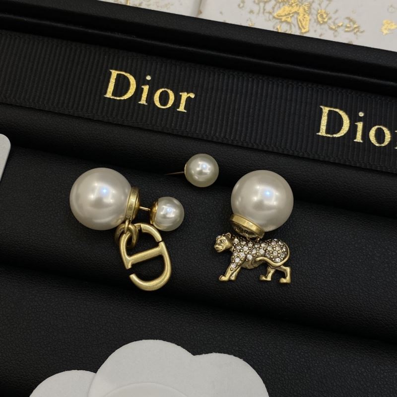 Christian Dior Earrings